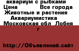 аквариум с рыбками › Цена ­ 1 000 - Все города Животные и растения » Аквариумистика   . Московская обл.,Лобня г.